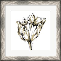 Framed Small Tulip Sketch I
