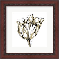 Framed Small Tulip Sketch I