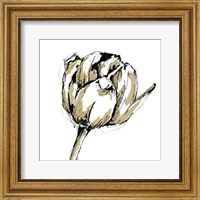 Framed Small Tulip Sketch II