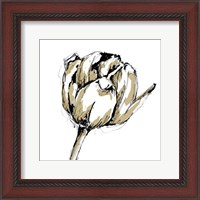 Framed Small Tulip Sketch II
