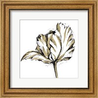 Framed Small Tulip Sketch III