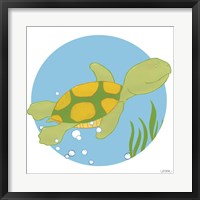 Framed Timothy the Turtle