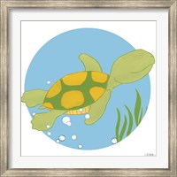 Framed Timothy the Turtle