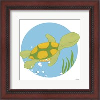 Framed Timothy the Turtle