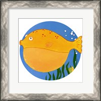 Framed Billy the Blowfish