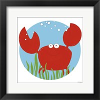 Framed Calvin the Crab