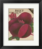 Framed 'Heirloom Variety III' border=