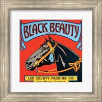 Framed Black Beauty