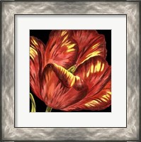 Framed Mini Transitional Tulip I