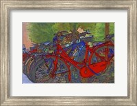 Framed Colorful Bicycles II