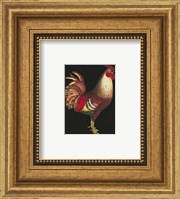 Framed Single Rooster (IP) I