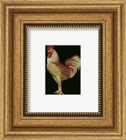 Framed Single Rooster (IP) II