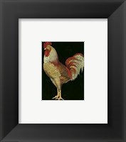 Framed Single Rooster (IP) II