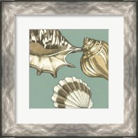 Framed Small Shell Trio on Blue III (P)
