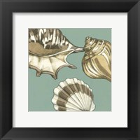 Framed Small Shell Trio on Blue III (P)