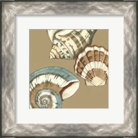 Framed Small Shell Trio on Khaki II (P)