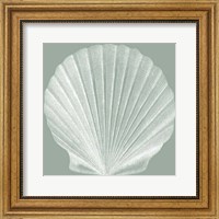 Framed Seabreeze Shells II (P)