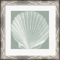 Framed Seabreeze Shells II (P)