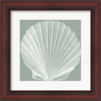 Framed Seabreeze Shells II (P)