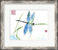 Framed Dragonfly