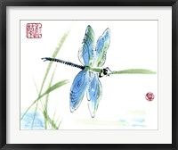 Framed Dragonfly