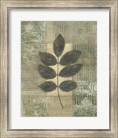 Framed Leaf Textures II