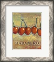 Framed Habanero