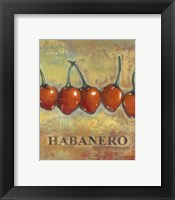 Framed Habanero