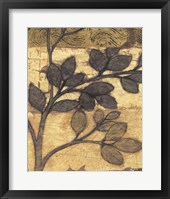 Bronzed Branches II Framed Print