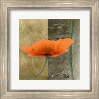 Framed Orange Poppies VI
