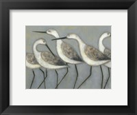 Framed Shore Birds I