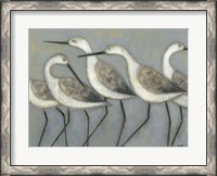 Framed Shore Birds I
