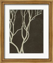 Framed Bare Tree II