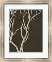 Framed Bare Tree II