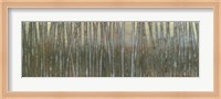 Framed Blue Birch Forest I
