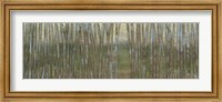 Framed Blue Birch Forest II