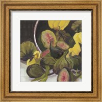 Framed Figs II