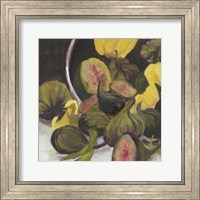 Framed Figs II