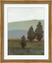 Framed Evergreen II