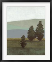 Evergreen II Framed Print