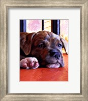 Framed Kratos Baby Pit Bull