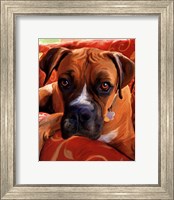 Framed Harry Boxer