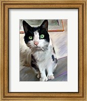 Framed Pretty Girl Cat