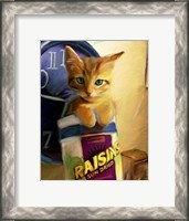 Framed Orange Cat in Raisin Box