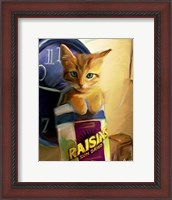 Framed Orange Cat in Raisin Box