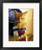 Framed Orange Cat in Raisin Box