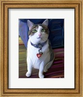 Framed Elvis Cat