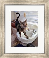 Framed Gray Tiger Cat on the Sink