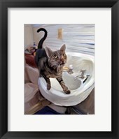 Framed Gray Tiger Cat on the Sink