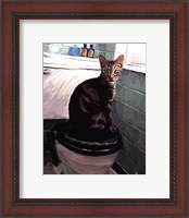 Framed Gray Tiger Cat on the Toilet